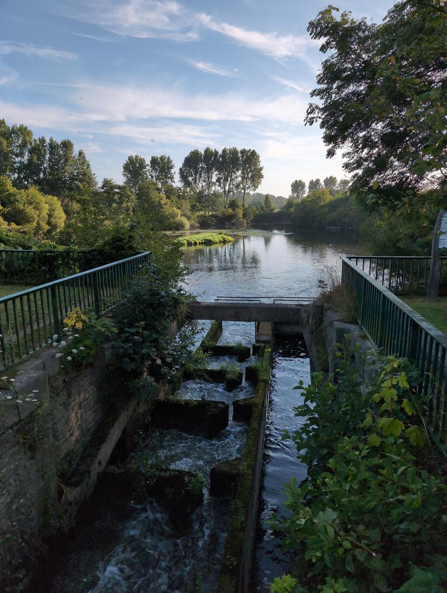 L'écluse à poissons